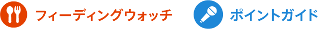 アイコン